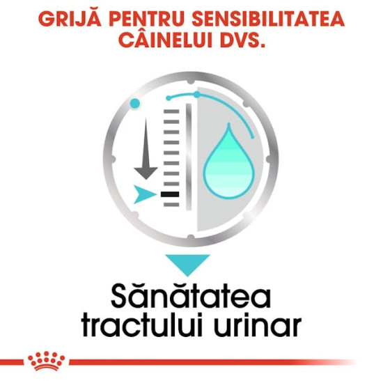 Royal Canin Urinary Care All Sizes – Hrană Umedă Pate pentru Câini – 85 g